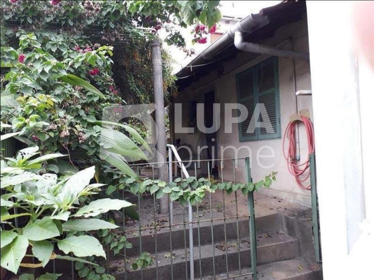 casa-terrea-venda-sao-paulo-vila-moinho-velho-2dormitorios-2vagas-170m2-LS32333