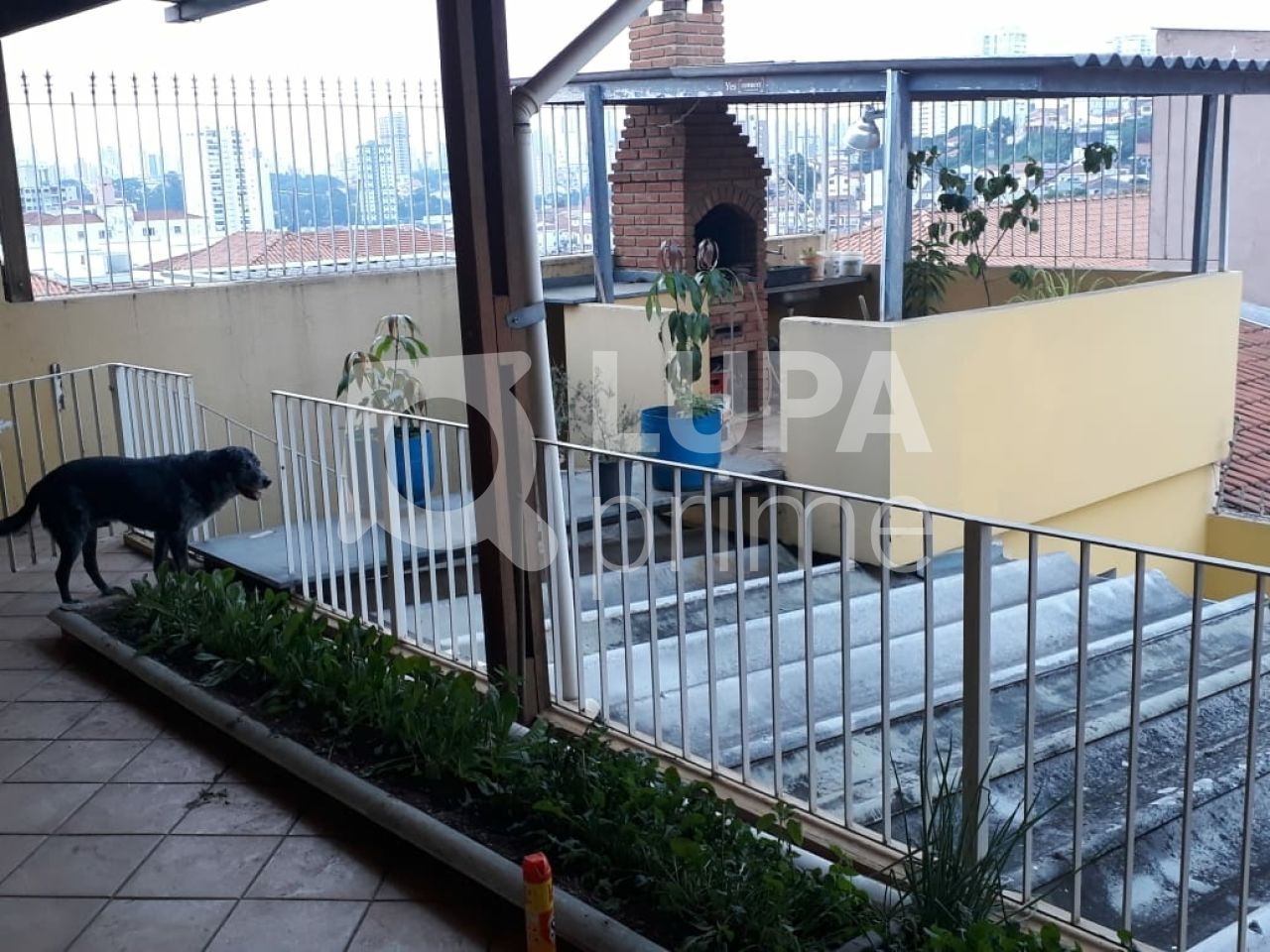 sobrado-venda-sao-paulo-vila-isolina-mazzei-4dormitorios-1suite-3vagas-191m2-LS32382