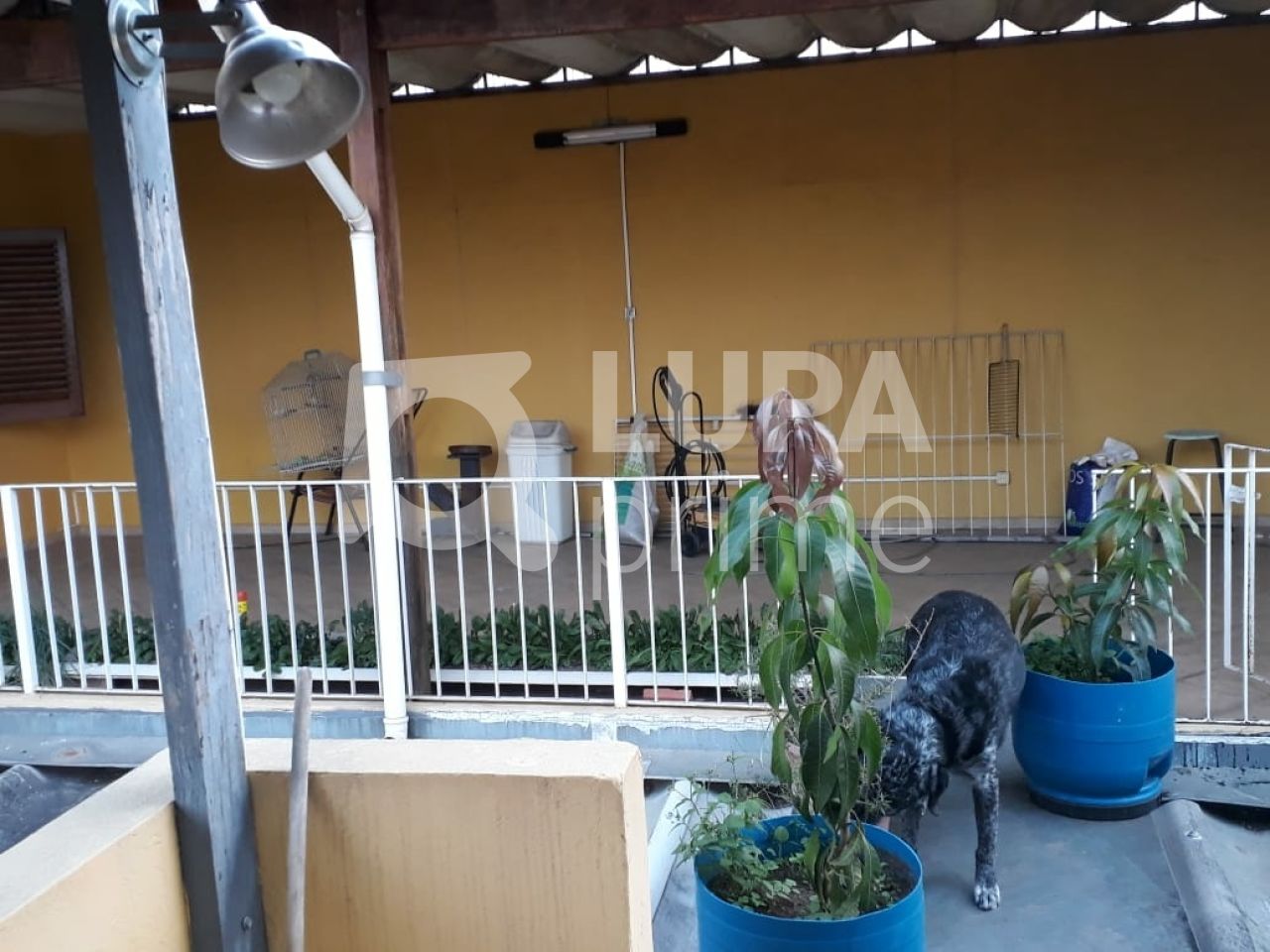 sobrado-venda-sao-paulo-vila-isolina-mazzei-4dormitorios-1suite-3vagas-191m2-LS32382