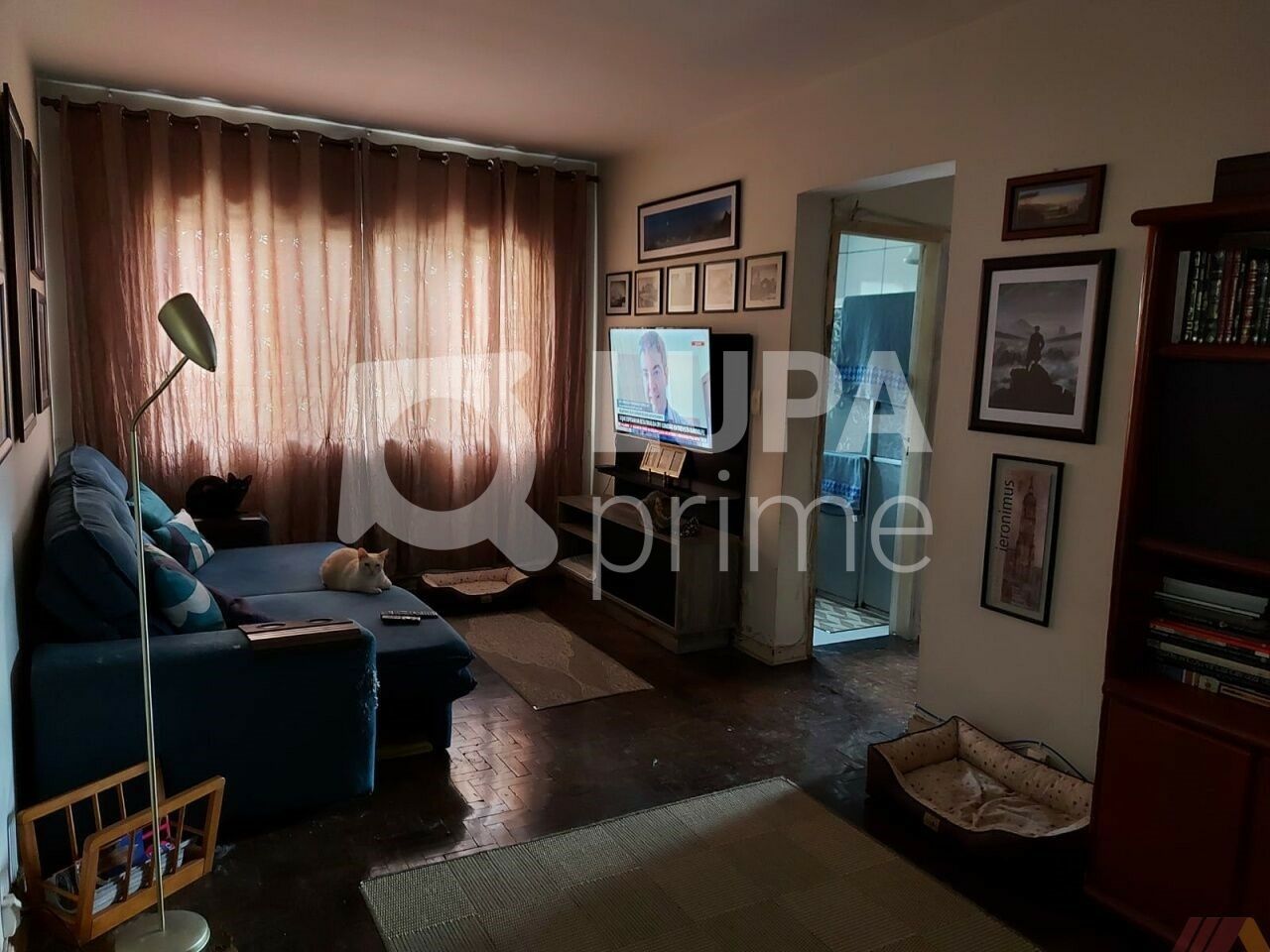 apartamento-venda-sao-paulo-jardim-sao-paulo-2dormitorios-1vaga-75m2-LS32399