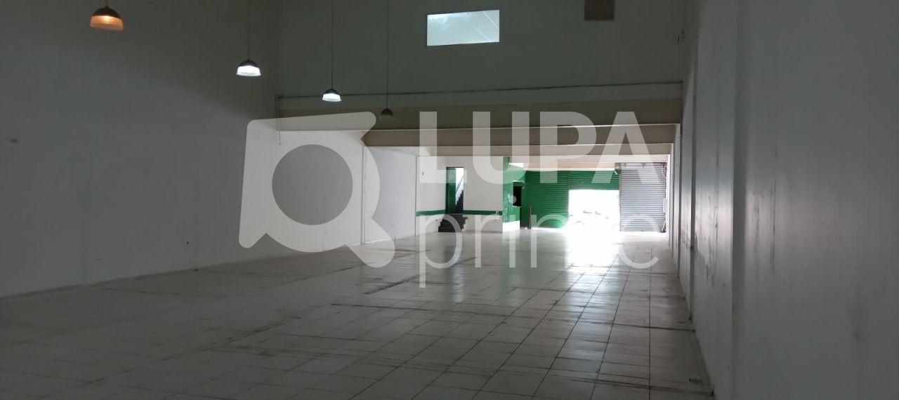 predio-locacao-sao-paulo-parada-inglesa-4vagas-600m2-LS32402