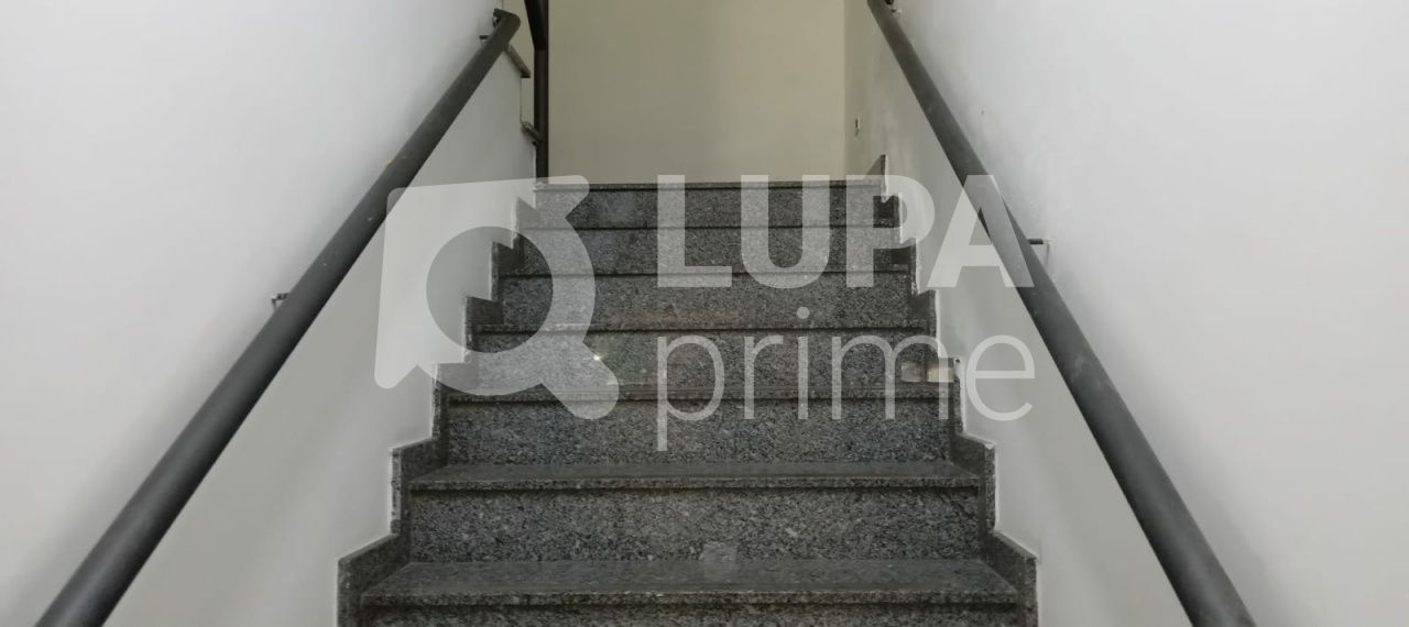 predio-locacao-sao-paulo-parada-inglesa-4vagas-600m2-LS32402