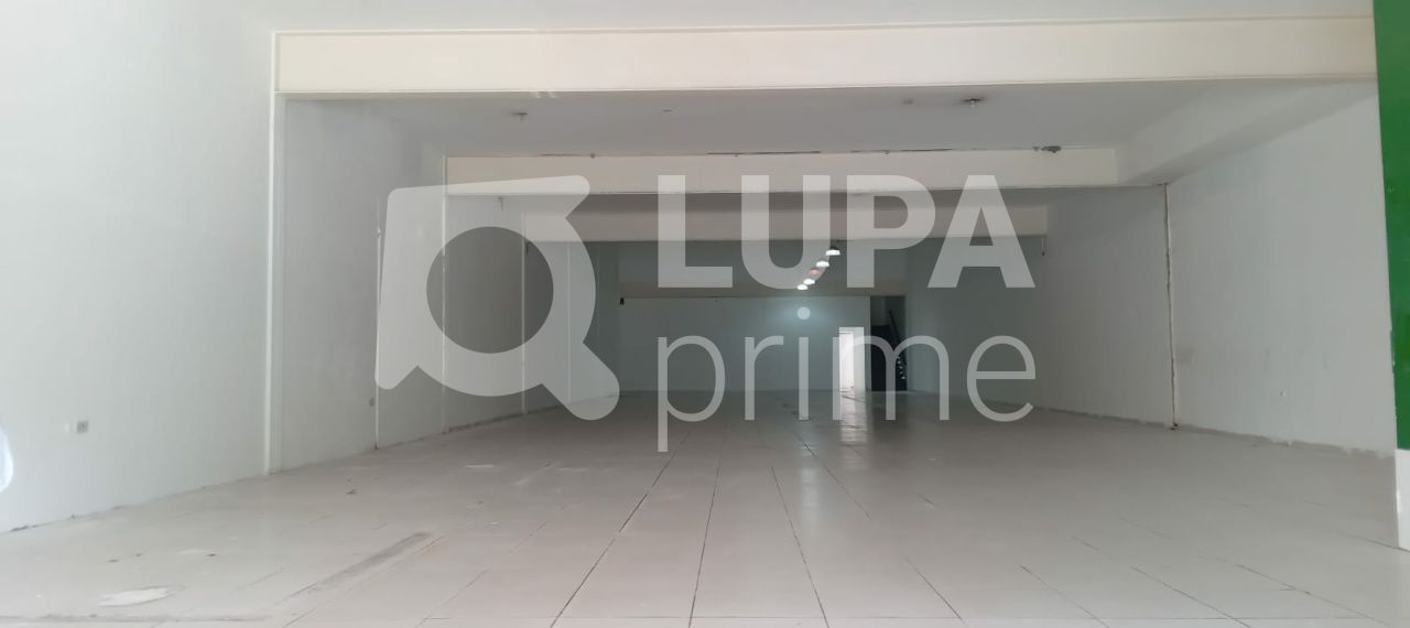 predio-locacao-sao-paulo-parada-inglesa-4vagas-600m2-LS32402
