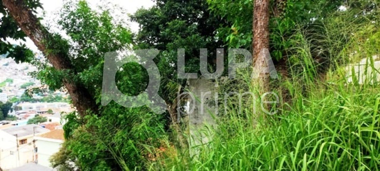 terreno-venda-sao-paulo-tucuruvi-204m2-LS32442
