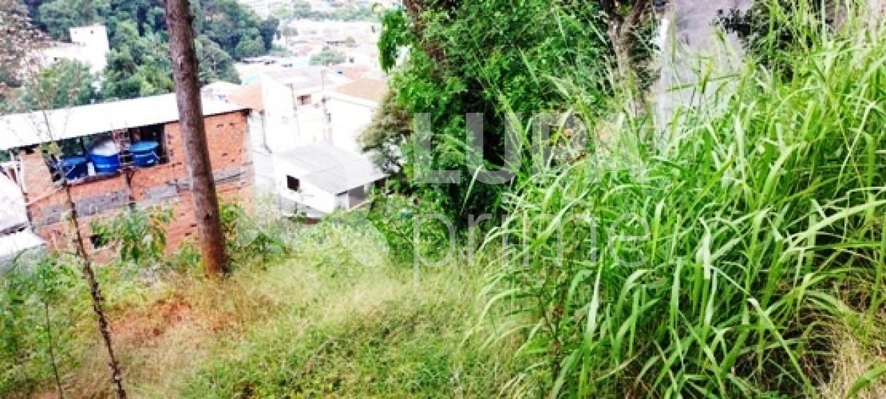 terreno-venda-sao-paulo-tucuruvi-204m2-LS32442