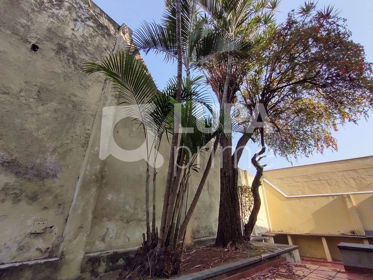 sobrado-venda-sao-paulo-tucuruvi-4dormitorios-3vagas-160m2-LS32504