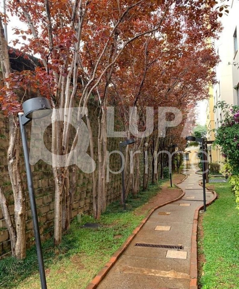 apartamento-venda-sao-paulo-paraisopolis-2dormitorios-1vaga-49m2-LS32516