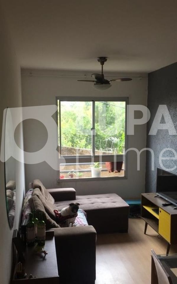 apartamento-venda-sao-paulo-paraisopolis-2dormitorios-1vaga-49m2-LS32516
