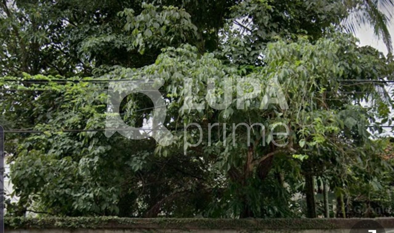 Terreno, 2 hectares - Foto 2