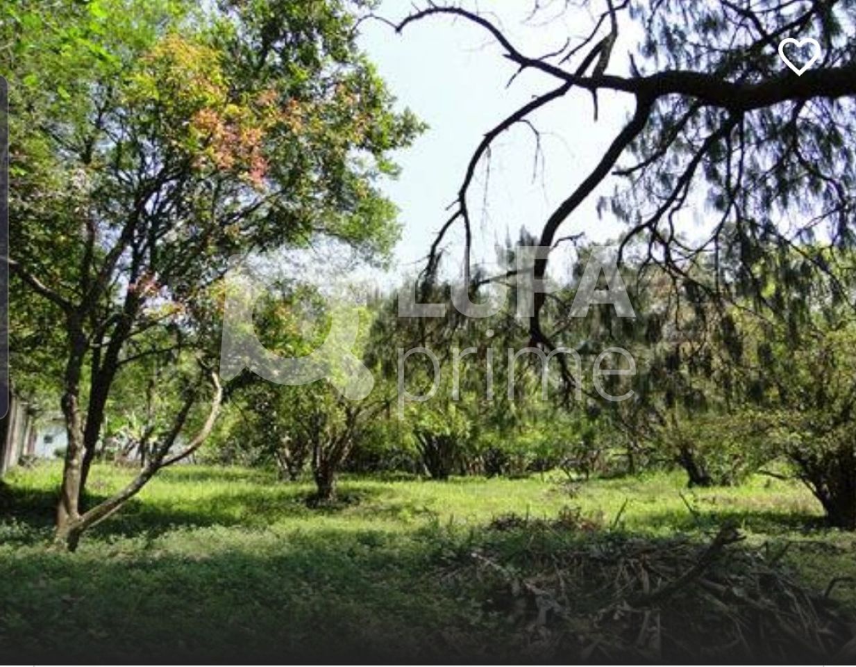 Terreno, 2 hectares - Foto 5