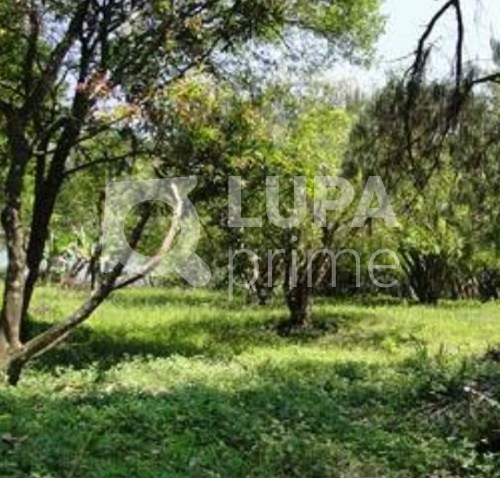 Terreno, 2 hectares - Foto 6