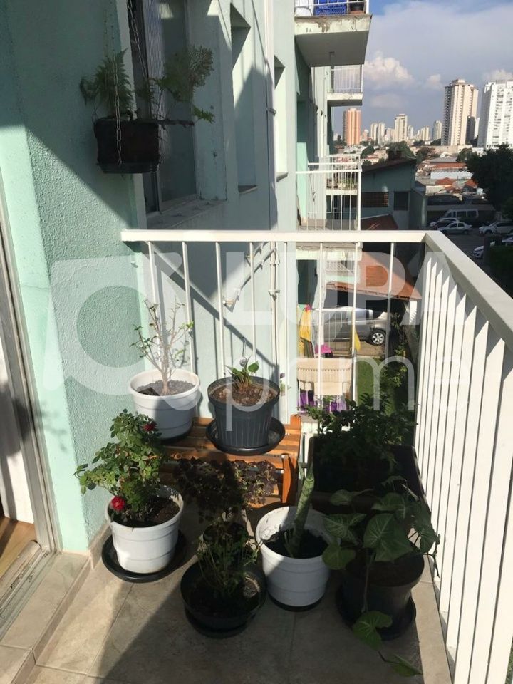 apartamento-venda-sao-paulo-lauzane-paulista-2dormitorios-1vaga-54m2-LS32616