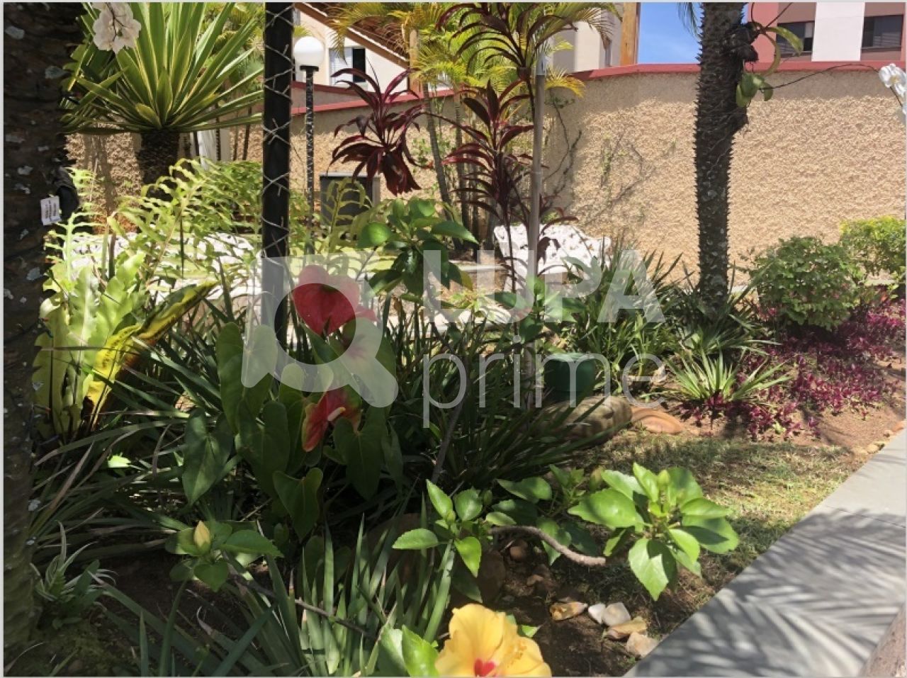 apartamento-venda-sao-paulo-parque-mandaqui-3dormitorios-1suite-2vagas-78m2-LS32641