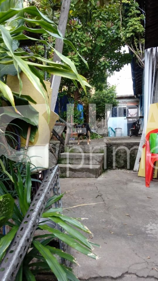 terreno-venda-sao-paulo-vila-nova-cachoeirinha-280m2-LS32677