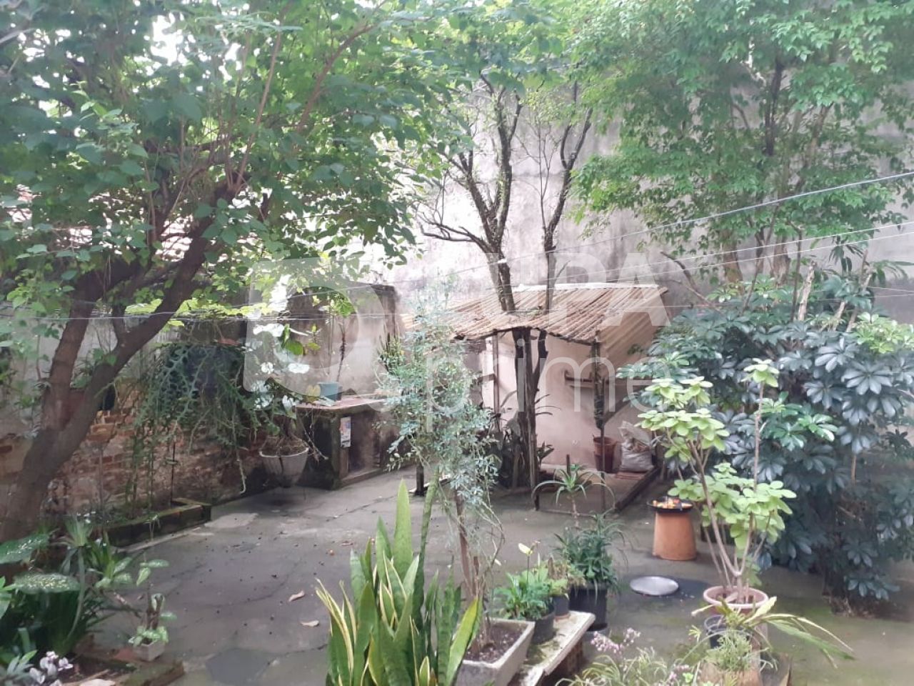 casa-terrea-venda-sao-paulo-casa-verde-3dormitorios-4vagas-121m2-LS32690