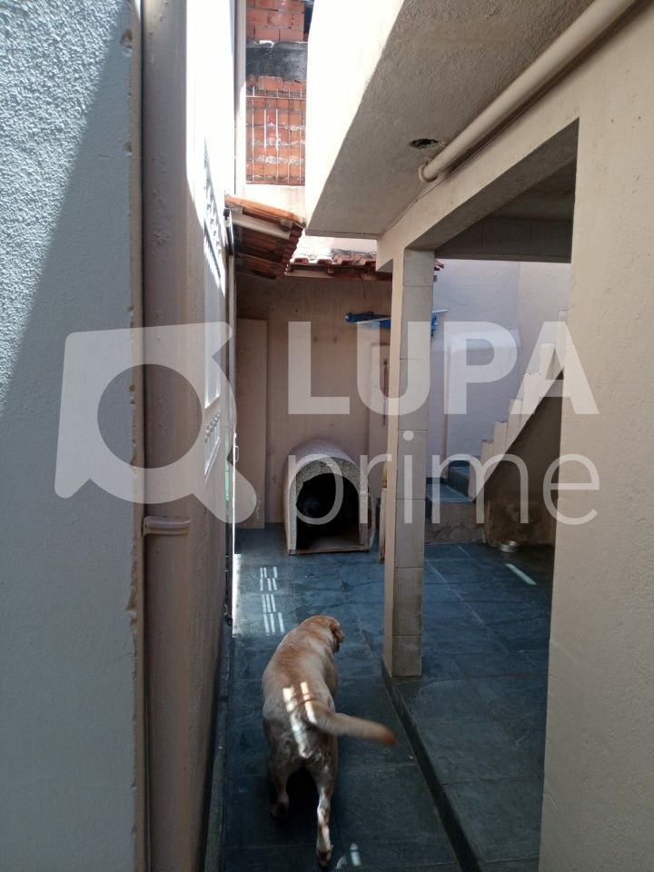 sobrado-venda-sao-paulo-vila-francos-3dormitorios-1suite-2vagas-119m2-LS32758