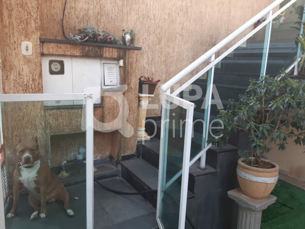 Casa à venda com 3 quartos, 240m² - Foto 6