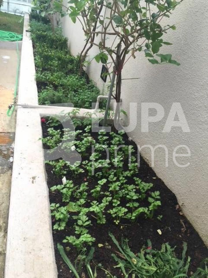 apartamento-venda-sao-paulo-vila-mariana-3dormitorios-1suite-1vaga-100m2-LS32850