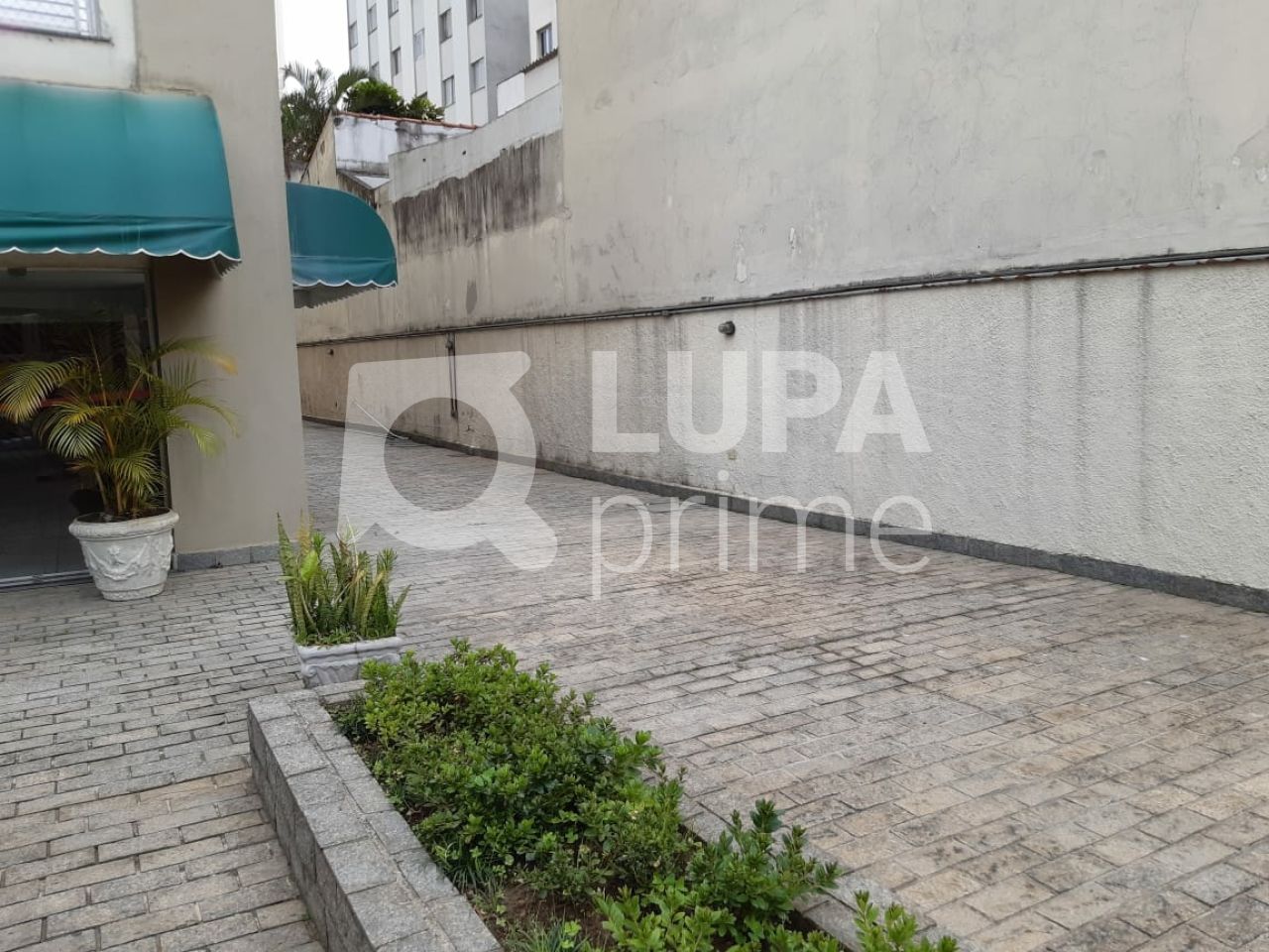 apartamento-venda-sao-paulo-saude-2dormitorios-1vaga-85m2-LS32902