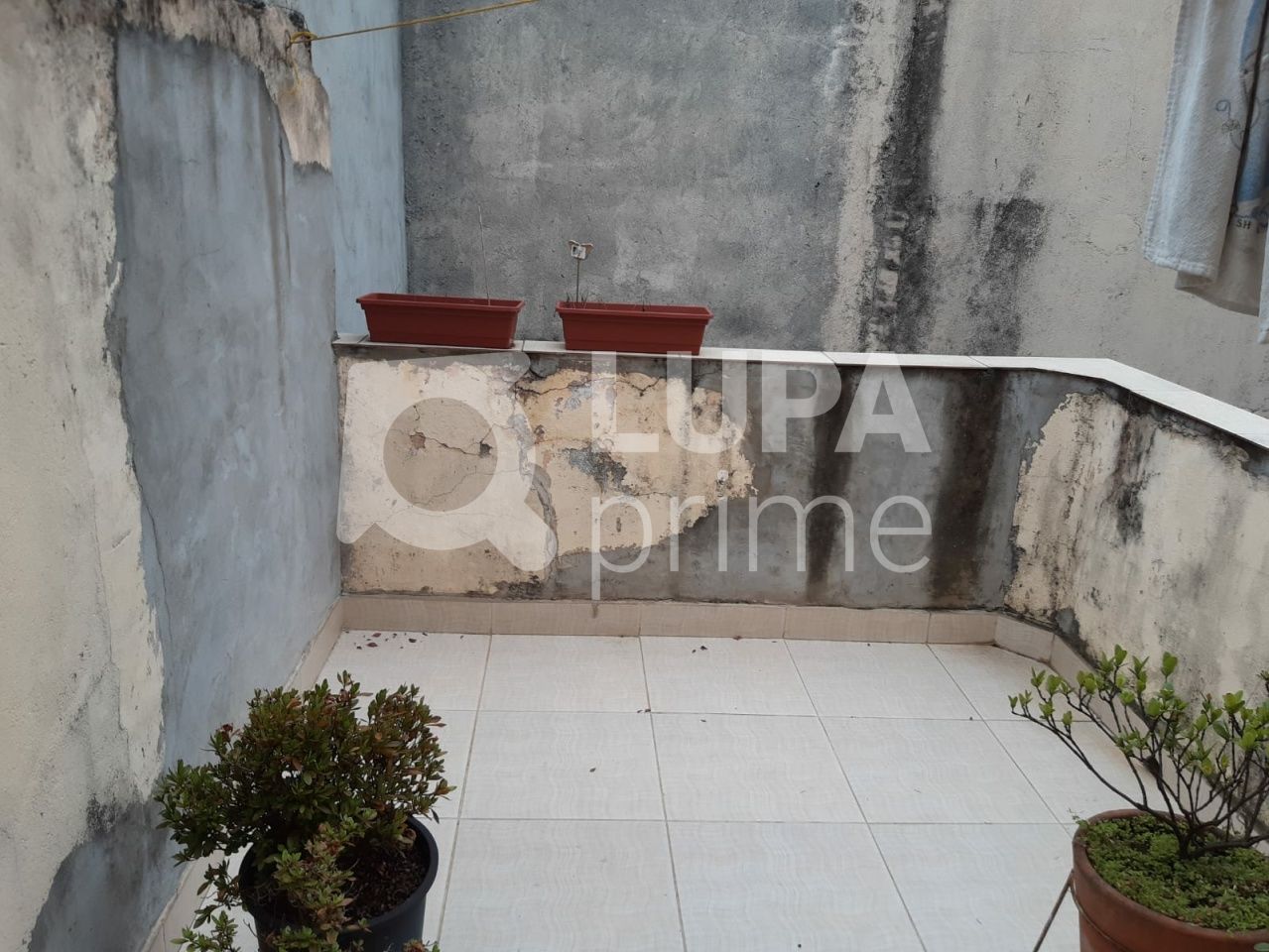 sobrado-venda-sao-paulo-santana-2dormitorios-100m2-LS32903