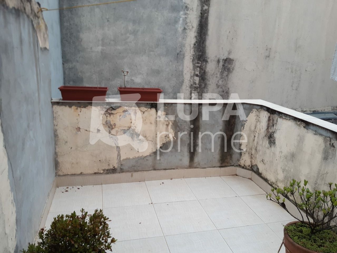 sobrado-venda-sao-paulo-santana-2dormitorios-100m2-LS32903