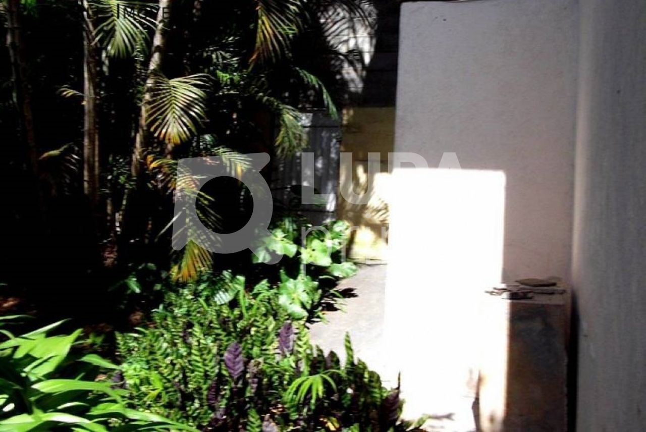 terreno-venda-sao-paulo-horto-florestal-540m2-LS32934