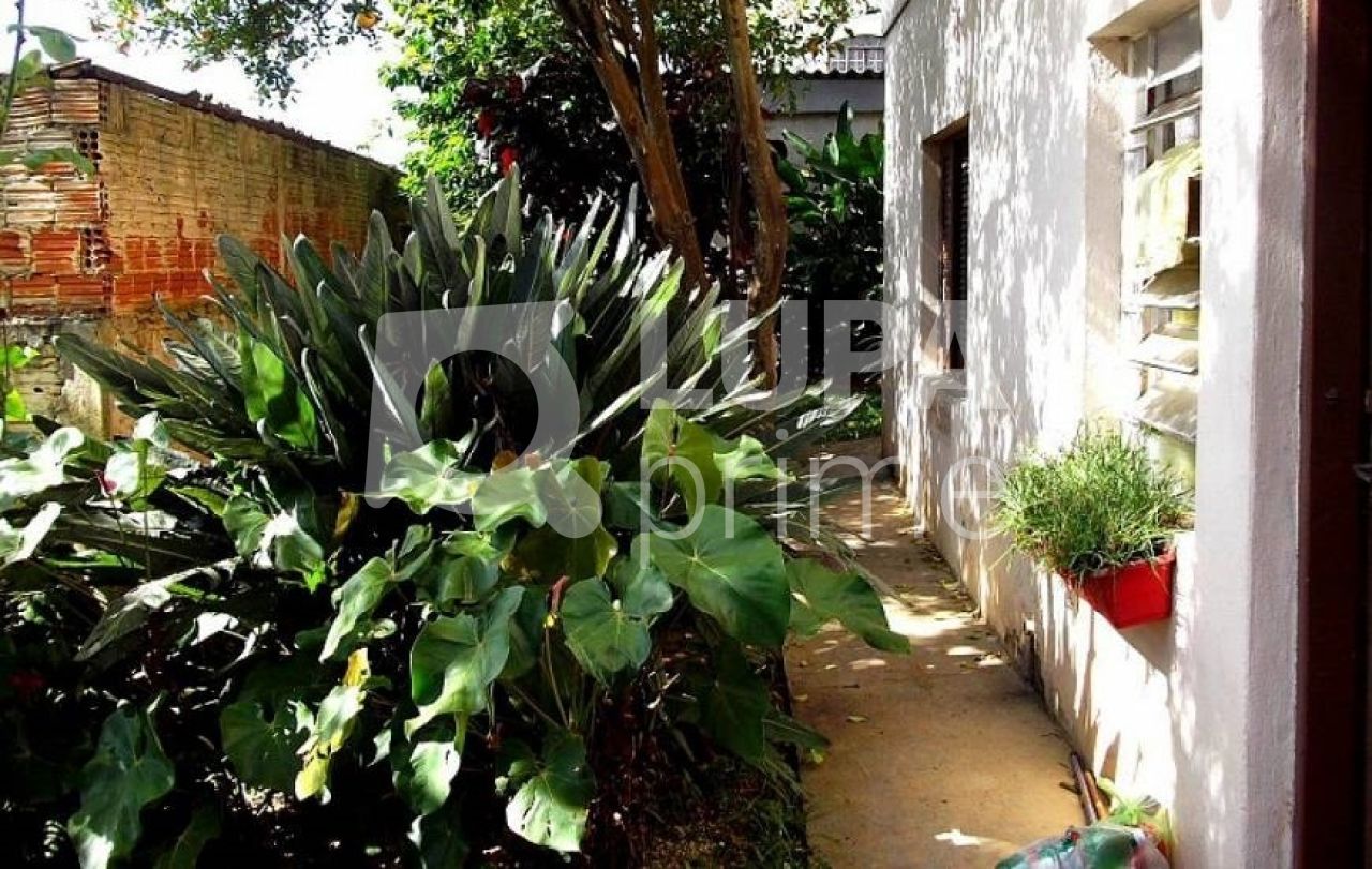 terreno-venda-sao-paulo-horto-florestal-540m2-LS32934