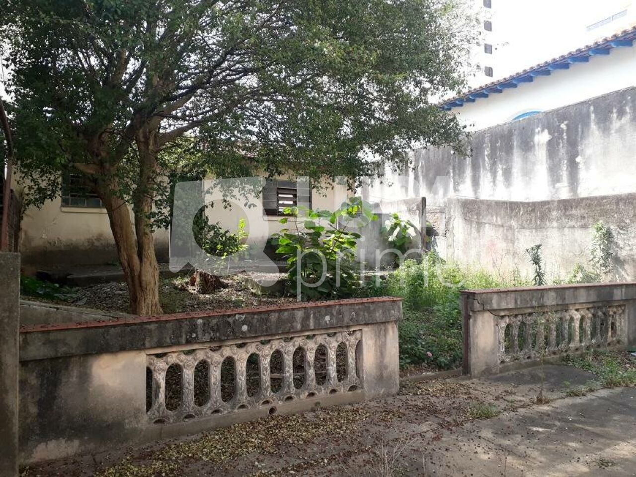 terreno-venda-sao-paulo-santana-500m2-LS3296