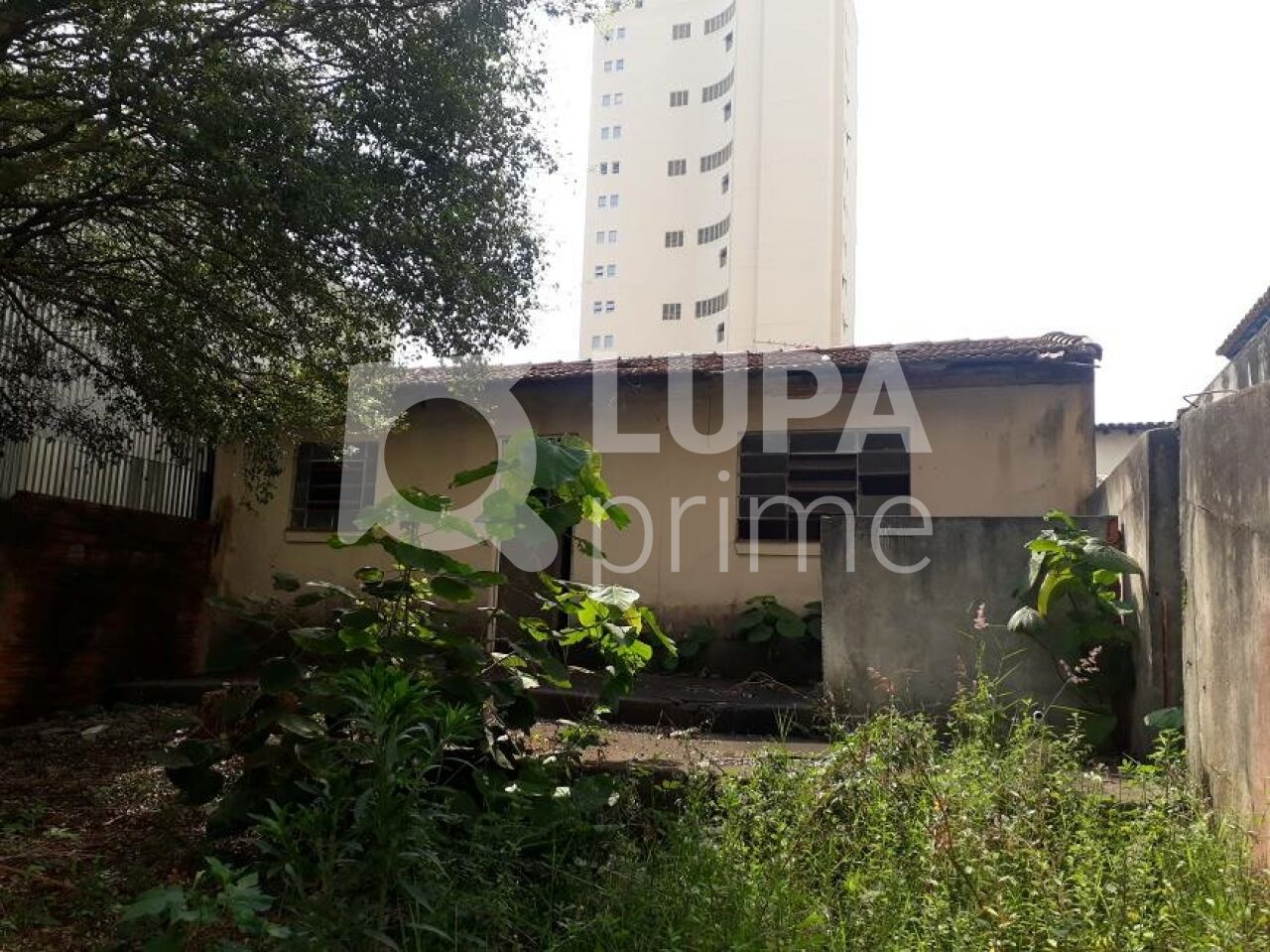 terreno-venda-sao-paulo-santana-500m2-LS3296