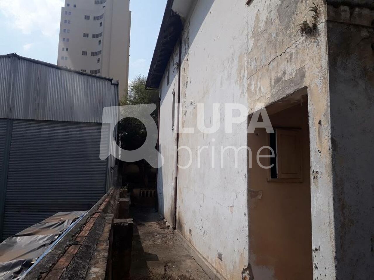 terreno-venda-sao-paulo-santana-500m2-LS3296