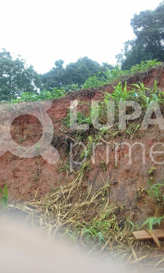 terreno-venda-sao-paulo-tremembe-LS32973