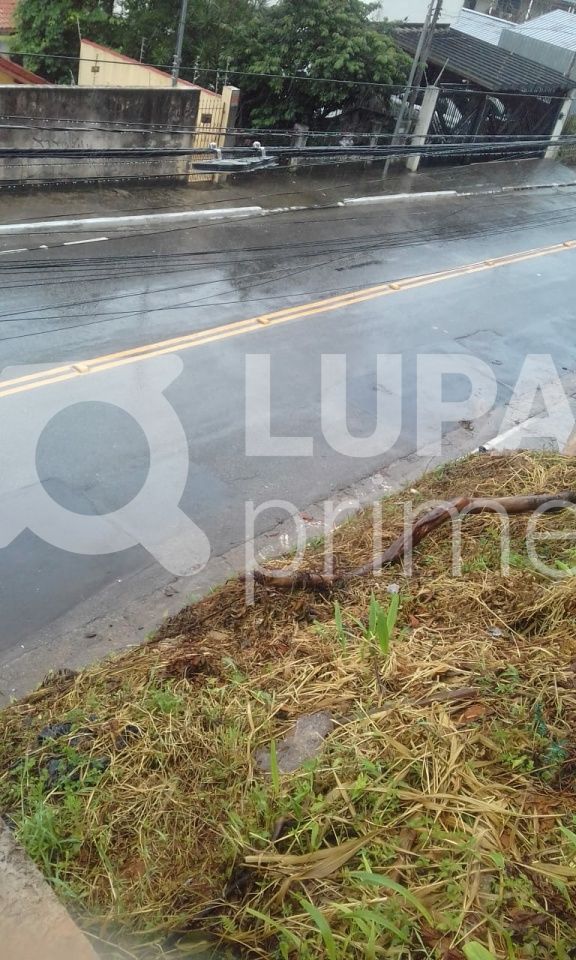 terreno-venda-sao-paulo-tremembe-LS32973