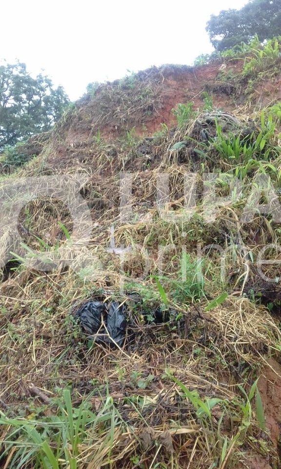 terreno-venda-sao-paulo-tremembe-LS32973