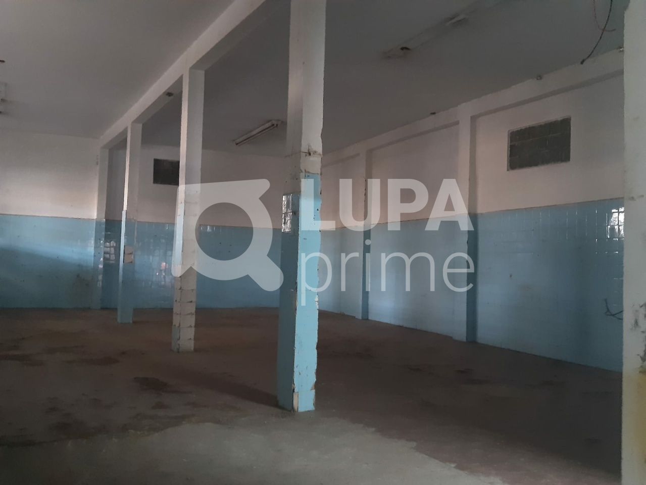 Loja-Salão, 320 m² - Foto 2