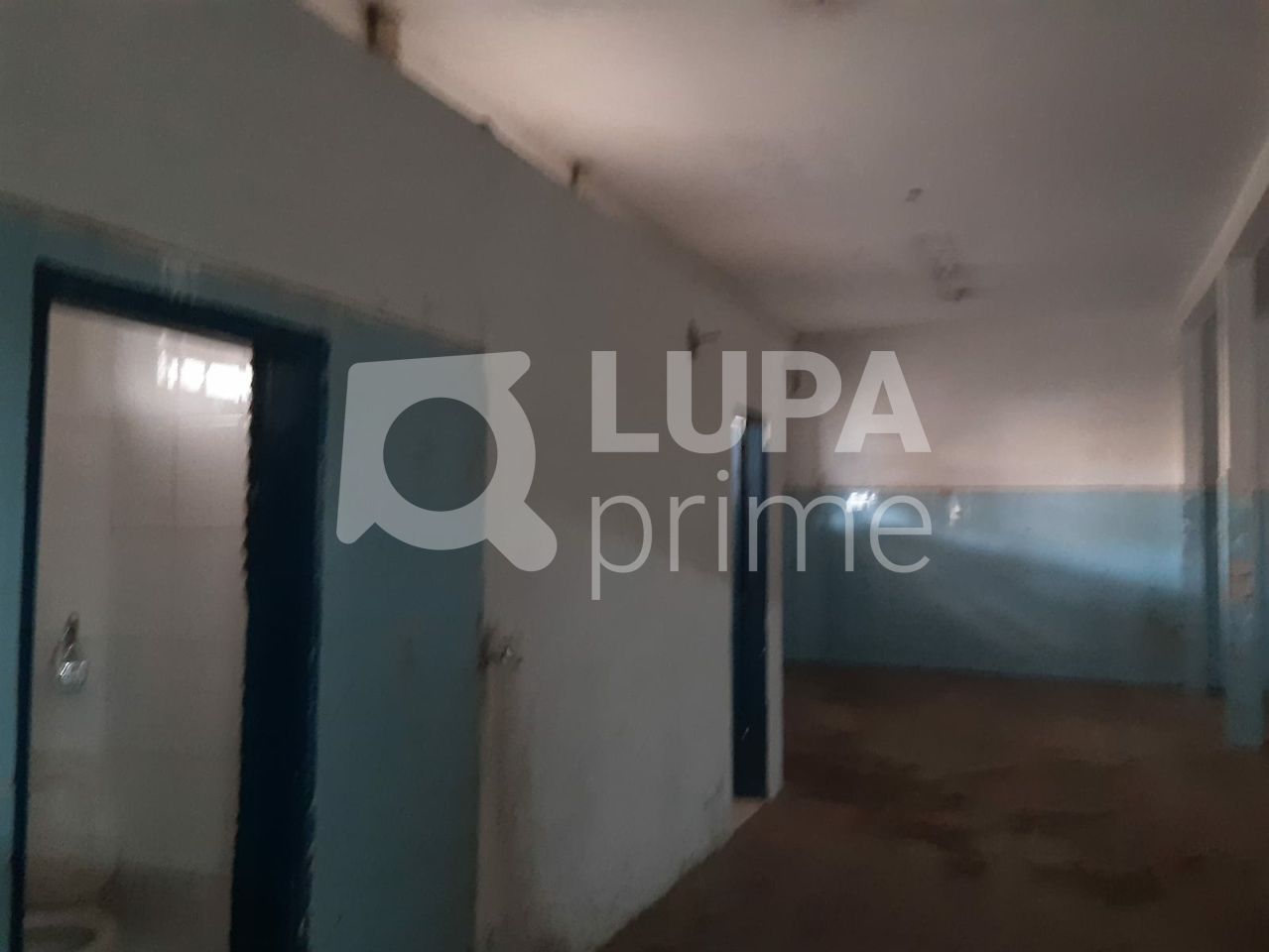 Loja-Salão, 320 m² - Foto 6