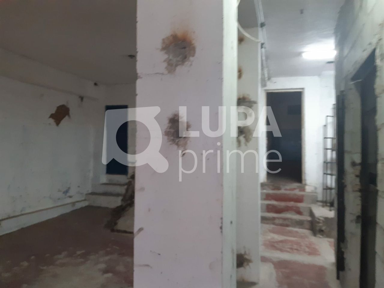 Loja-Salão, 320 m² - Foto 14