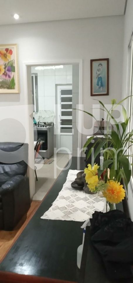 casa-terrea-venda-sao-paulo-moinho-velho-2dormitorios-2vagas-123m2-LS33047