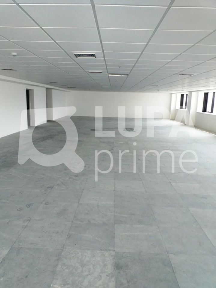 Sala-Conjunto, 1069 m² - Foto 3