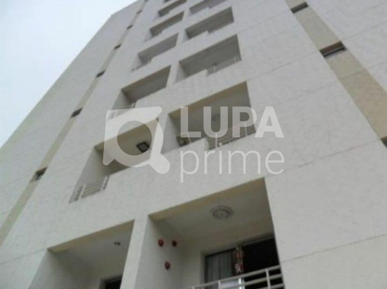 apartamento-venda-sao-paulo-vila-mazzei-2dormitorios-1vaga-50m2-LS33218