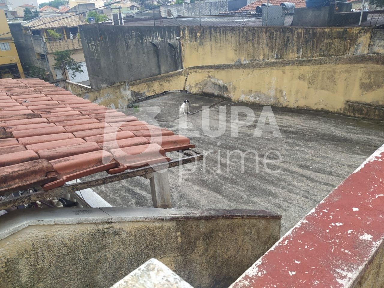 terreno-venda-sao-paulo-parque-peruche-LS33241