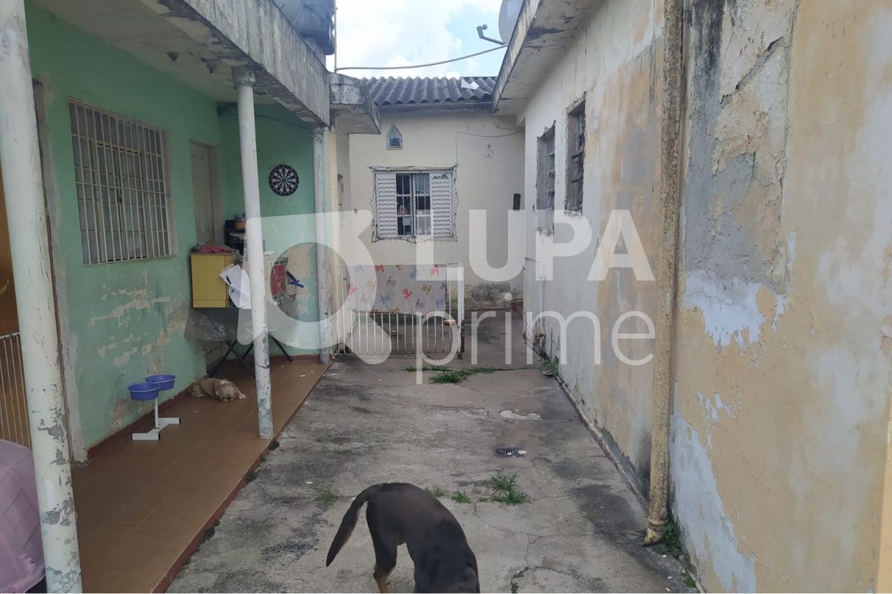 terreno-venda-sao-paulo-parque-peruche-LS33241