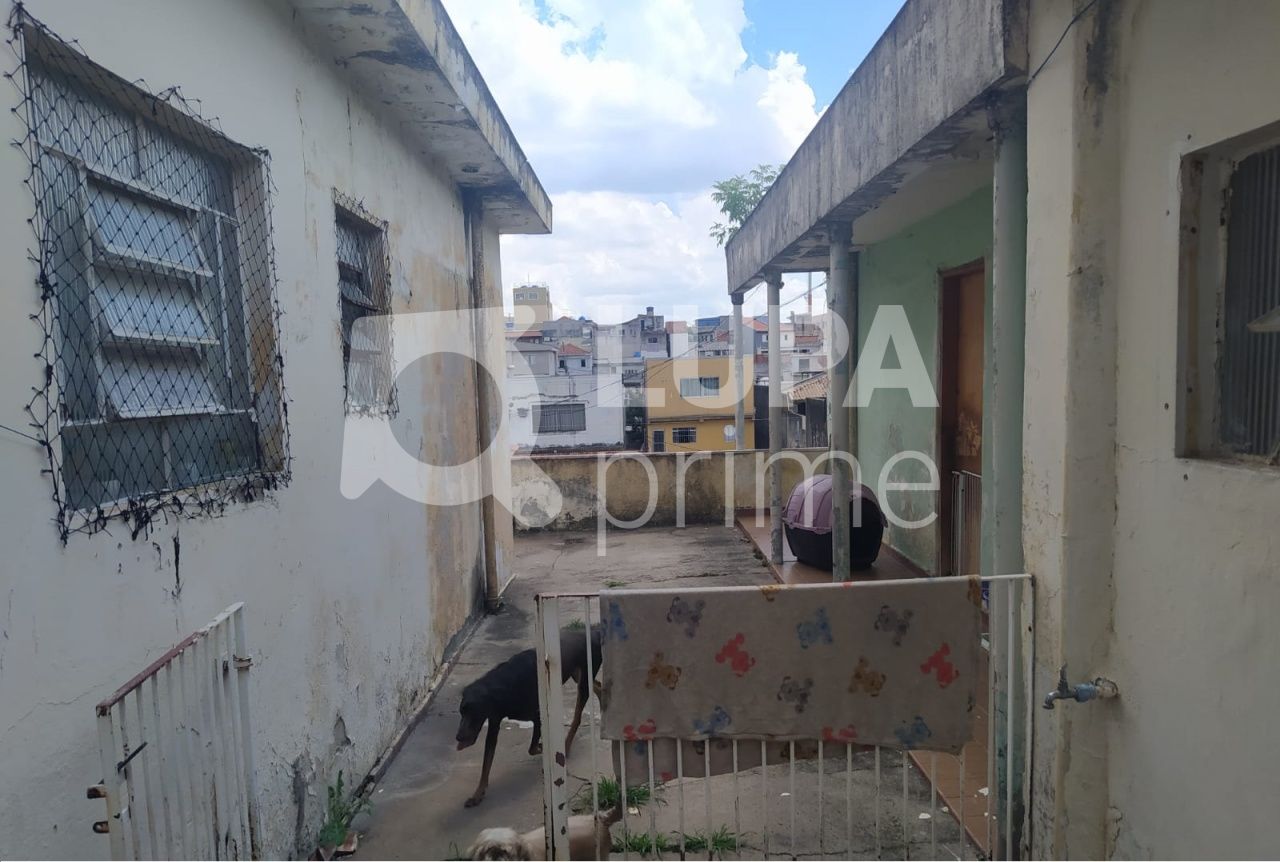 terreno-venda-sao-paulo-parque-peruche-LS33241