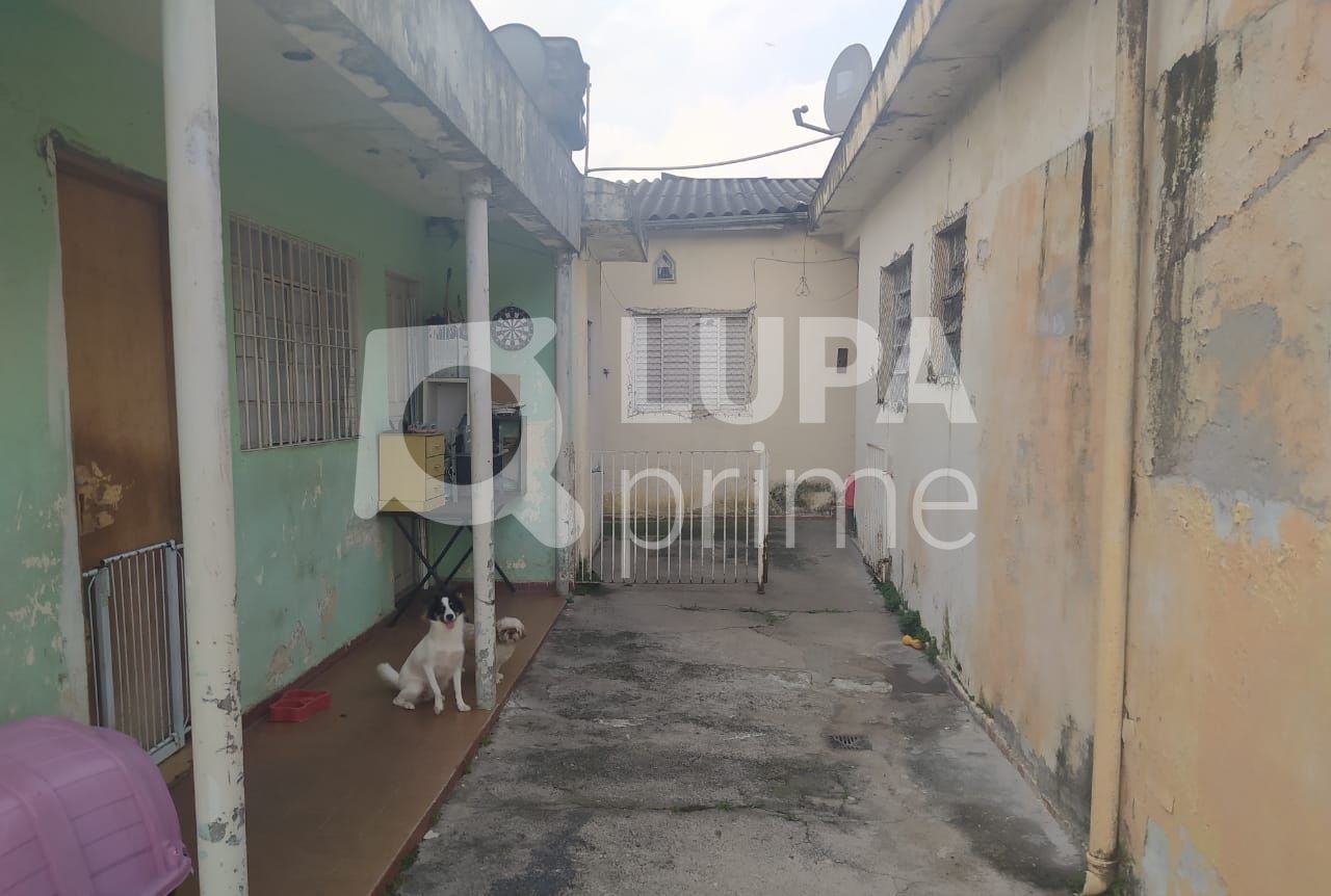 terreno-venda-sao-paulo-parque-peruche-LS33241