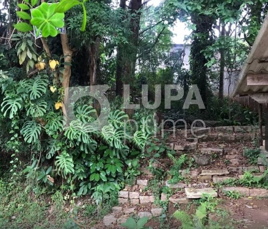 terreno-venda-sao-paulo-horto-florestal-639m2-LS33335