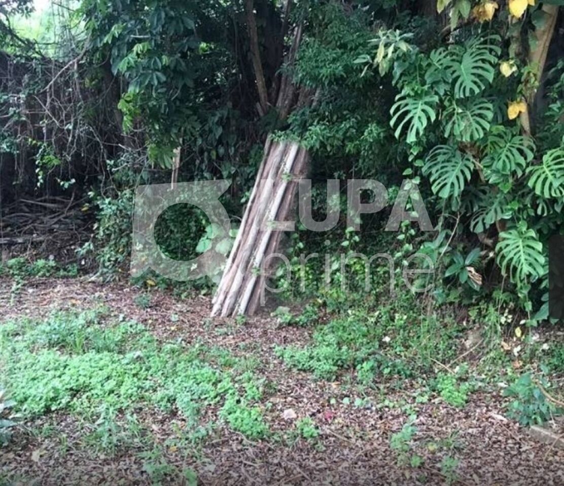 terreno-venda-sao-paulo-horto-florestal-639m2-LS33335