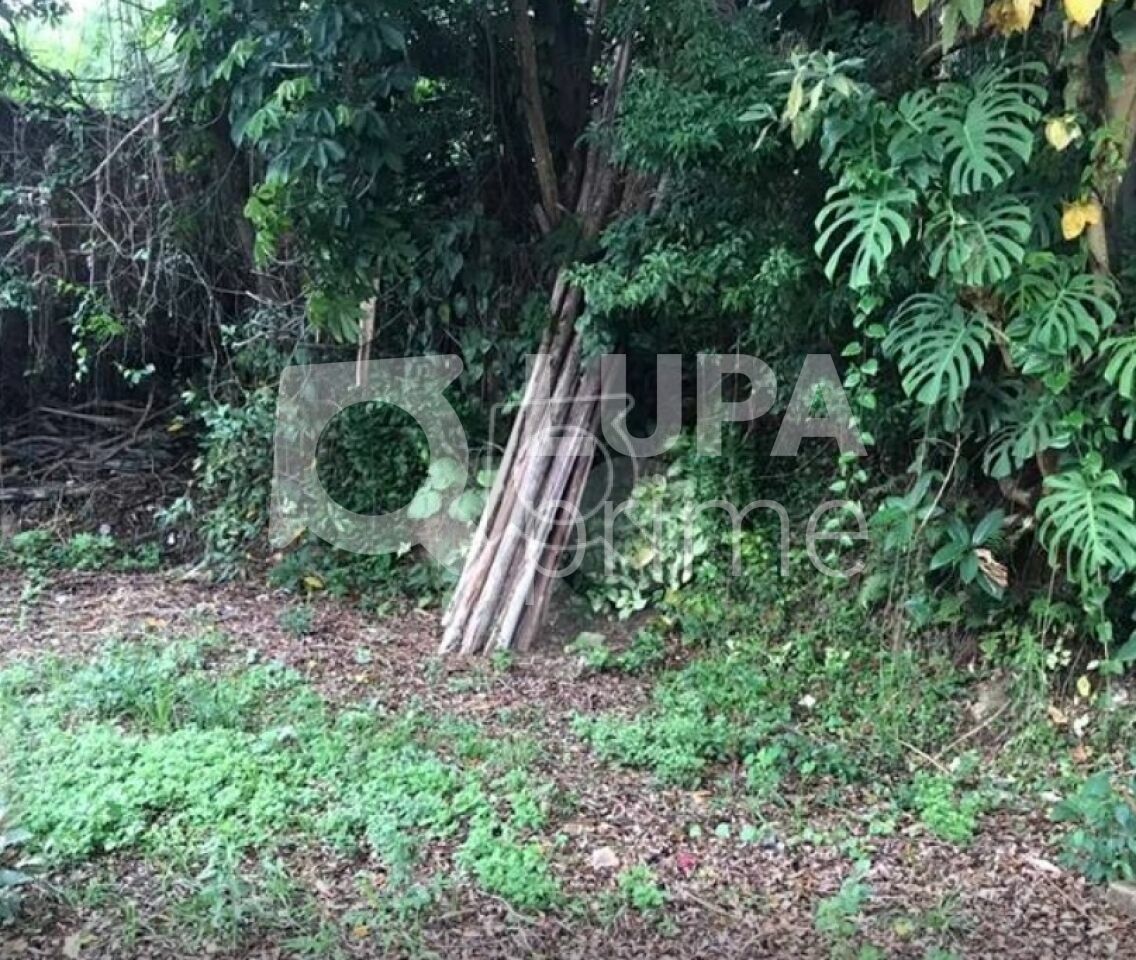 terreno-venda-sao-paulo-horto-florestal-639m2-LS33335