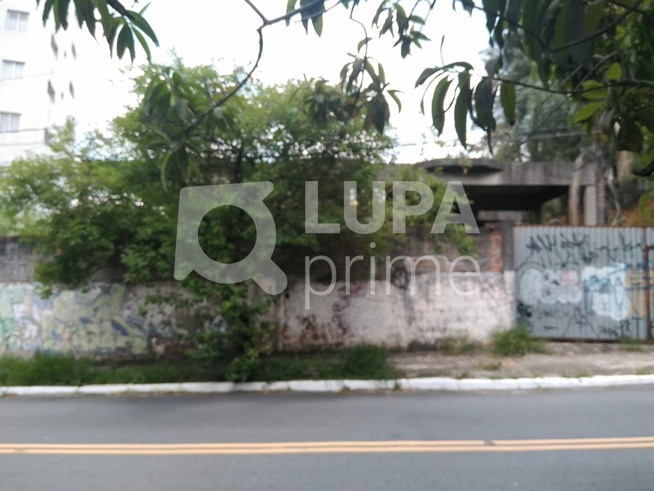 terreno-venda-sao-paulo-barro-branco-LS33489