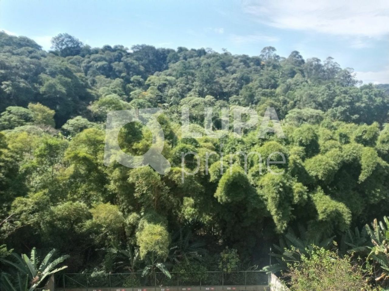 Apartamento à venda com 2 quartos, 49m² - Foto 15
