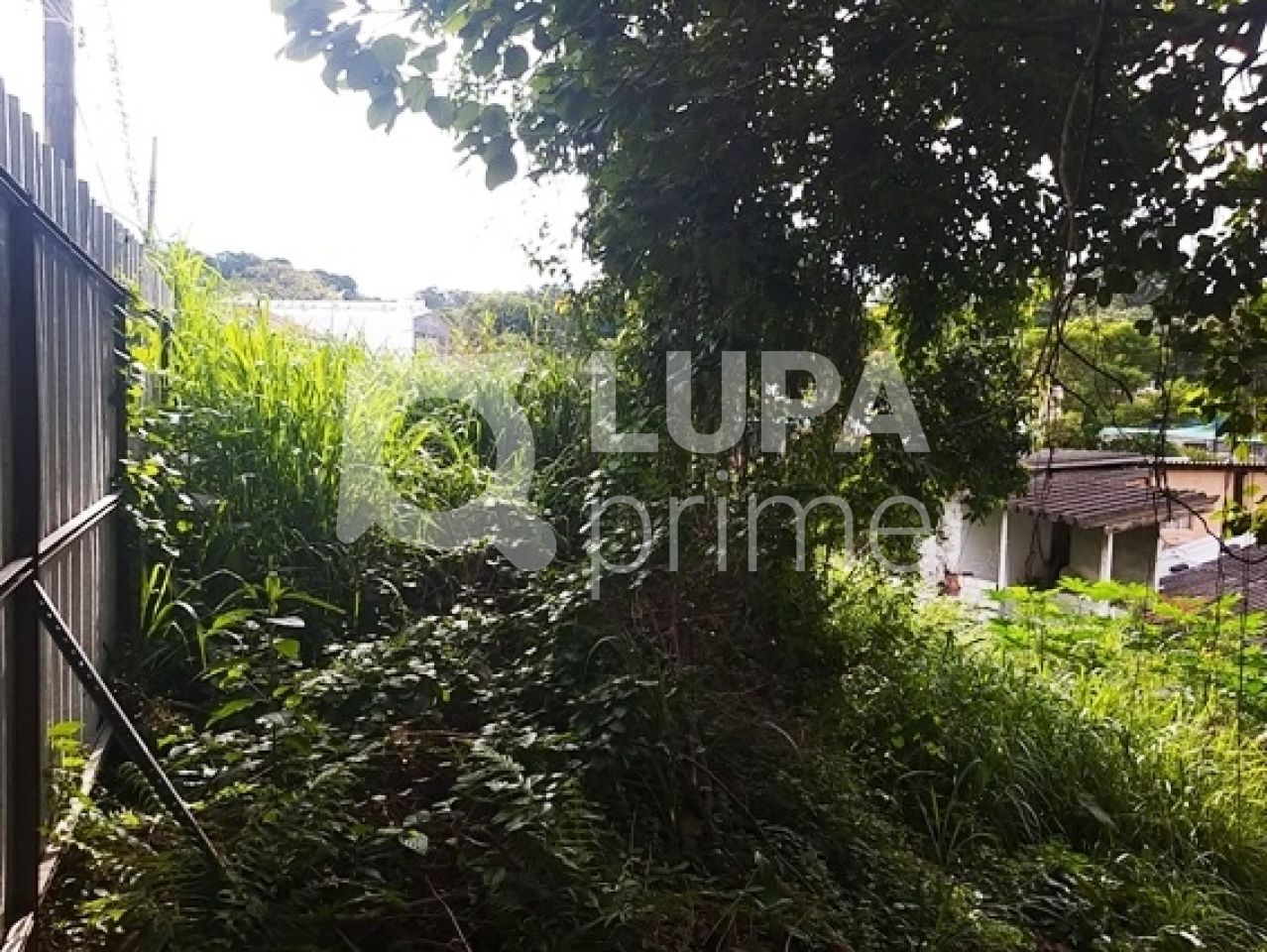 terreno-venda-sao-paulo-horto-florestal-1080m2-LS3354