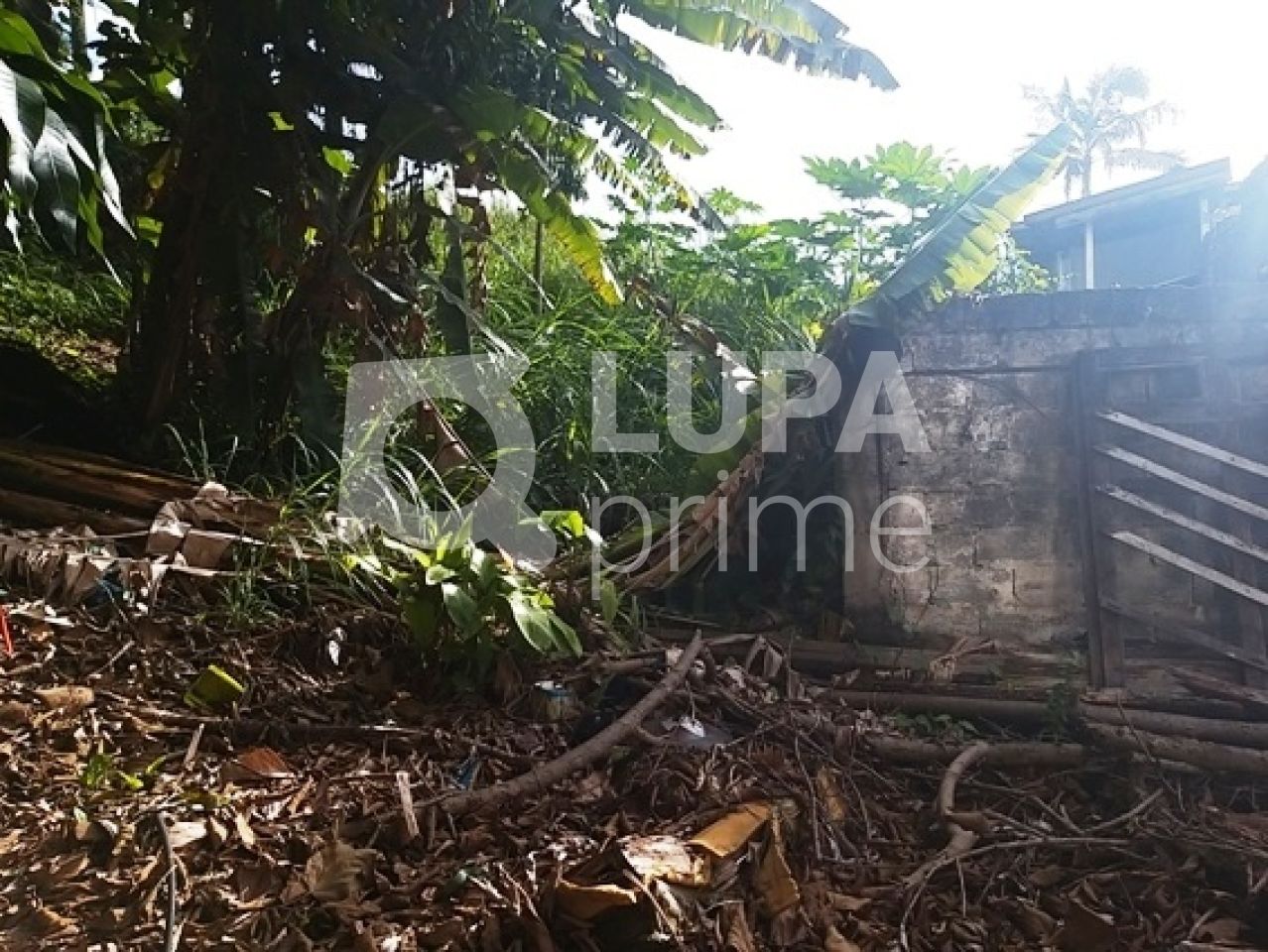 terreno-venda-sao-paulo-horto-florestal-1080m2-LS3354